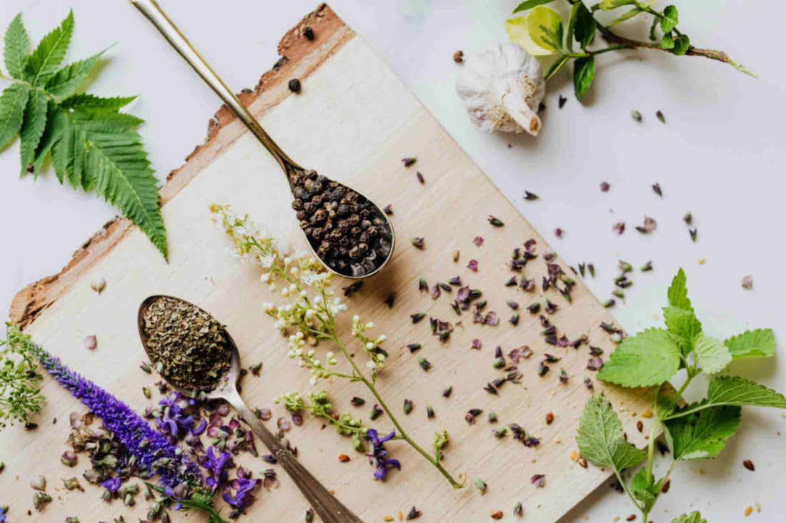 Assorted herbs, flowers, and spices representing different natural terpene sources
