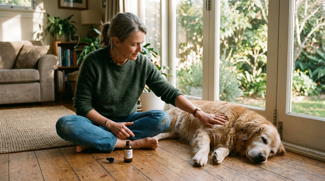 How Arthritis Affects Dogs: A Complete Guide for Pet Parents