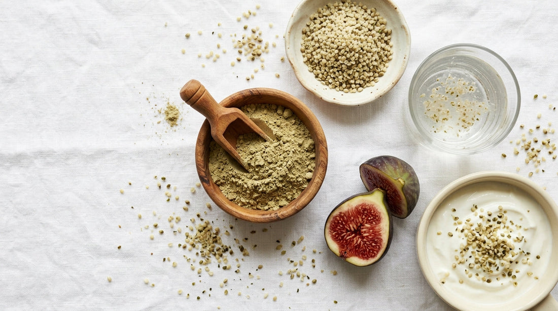 How Hemp Protein Powder Can Help Improve Digestion & Gut Health