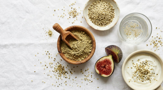 How Hemp Protein Powder Can Help Improve Digestion & Gut Health