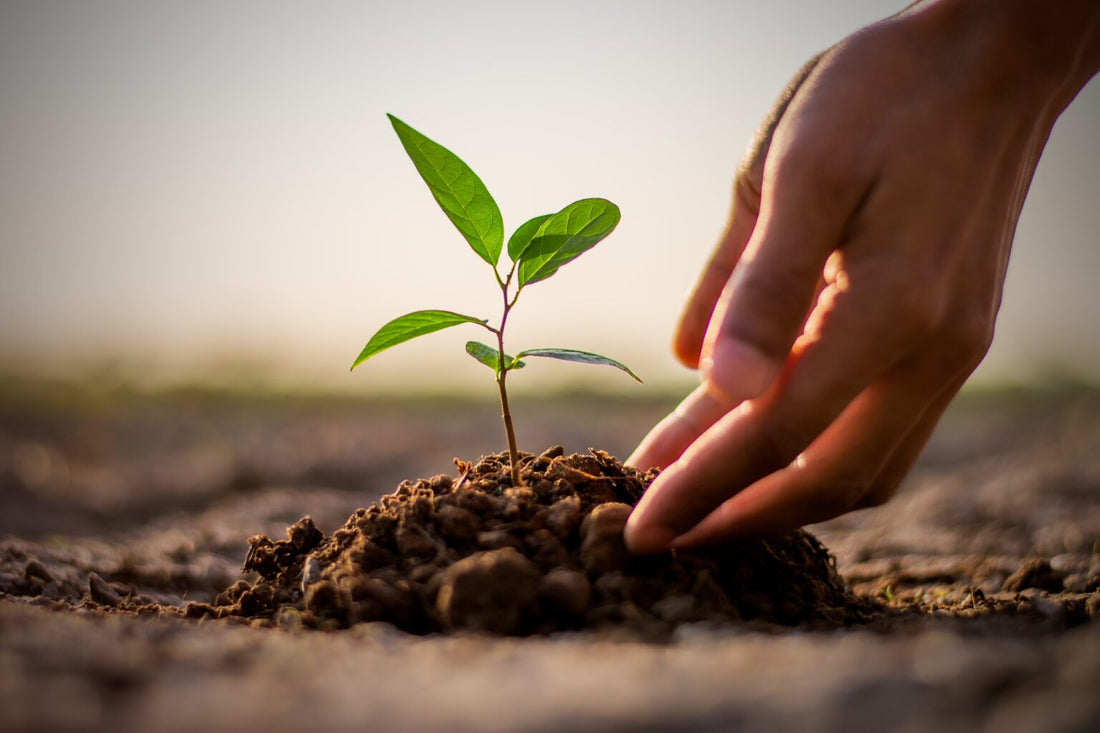 Vasse Valley's climate change action for 2023